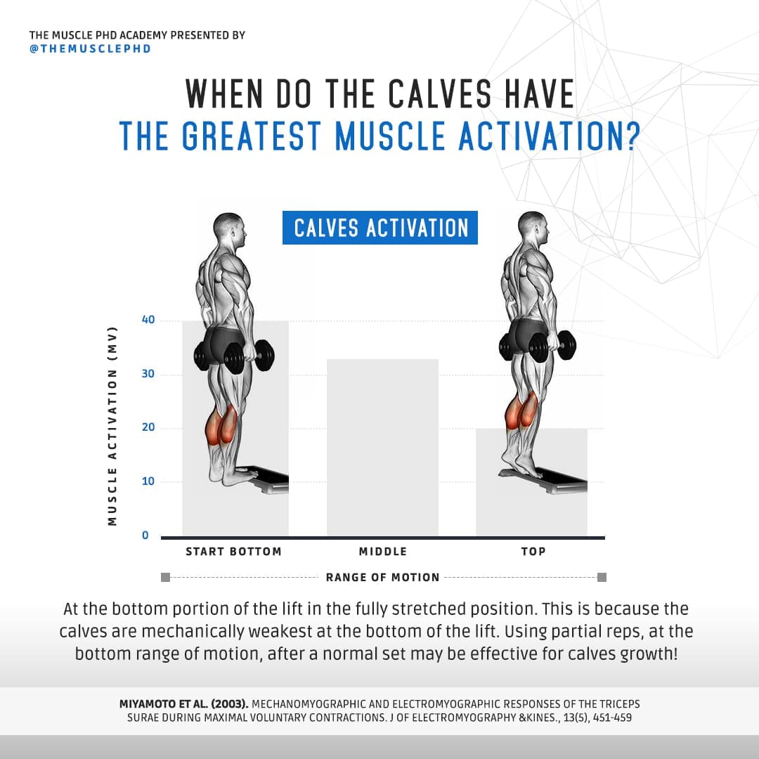 Calves Activation Social Creative